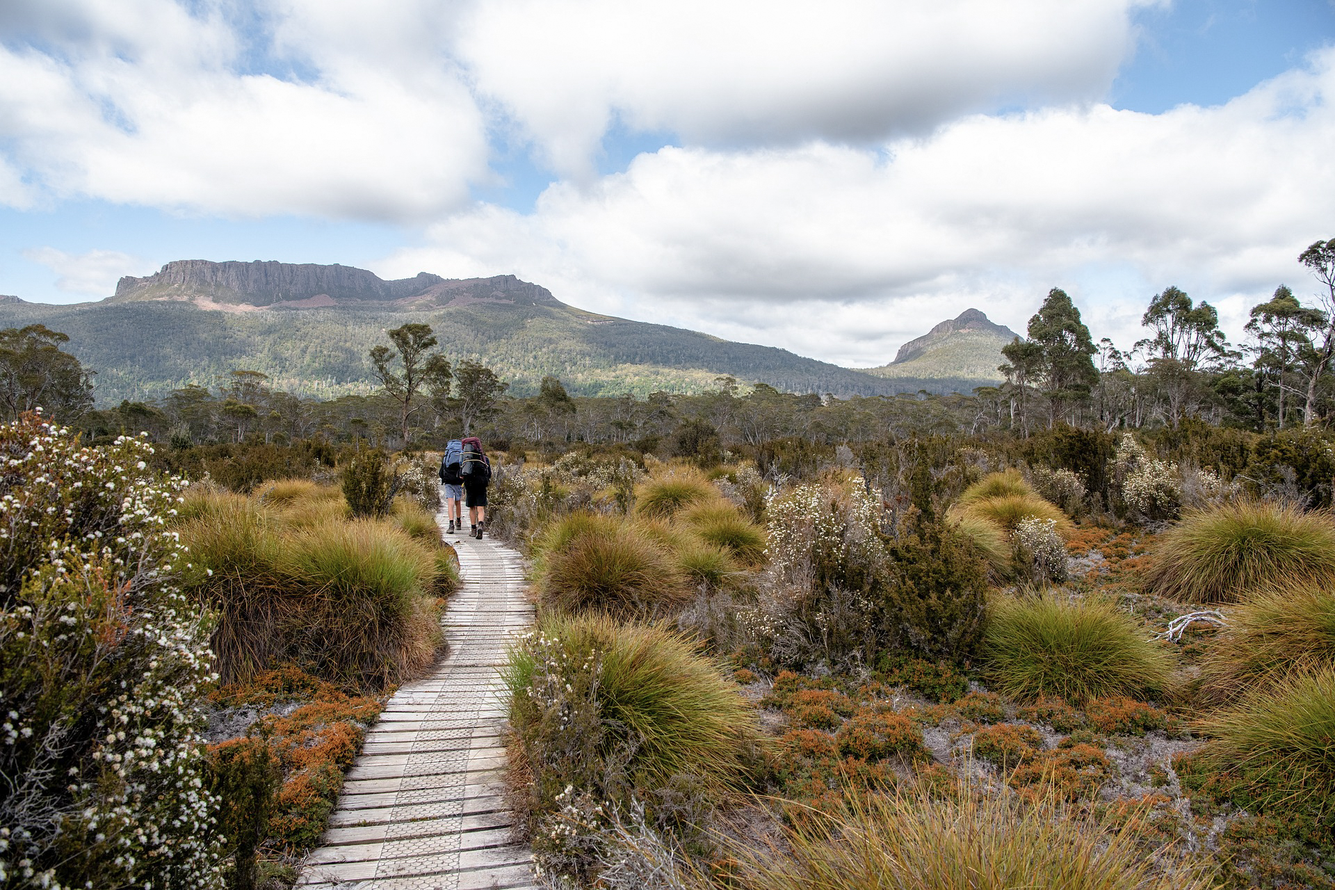 The Overland Track in Tasmania, Australia. The Most Beautiful Hikes in the World.
