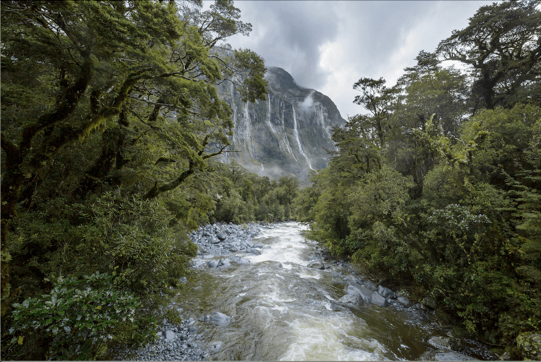 Valley at Milford Track, New Zealand. Photo by Galyna Andrushko. The Most Beautiful Hikes in the World.