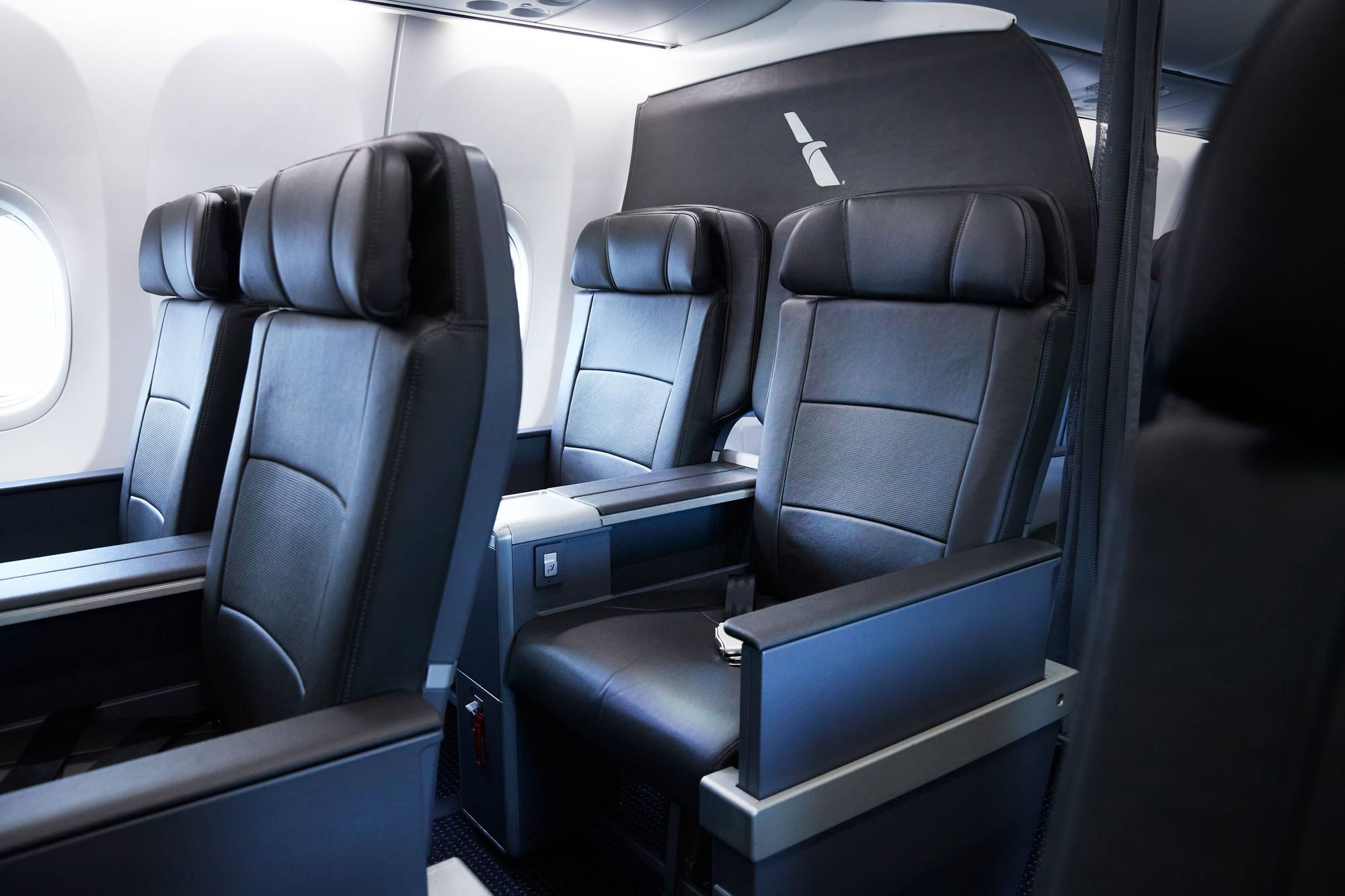 American Airlines domestic First Class features